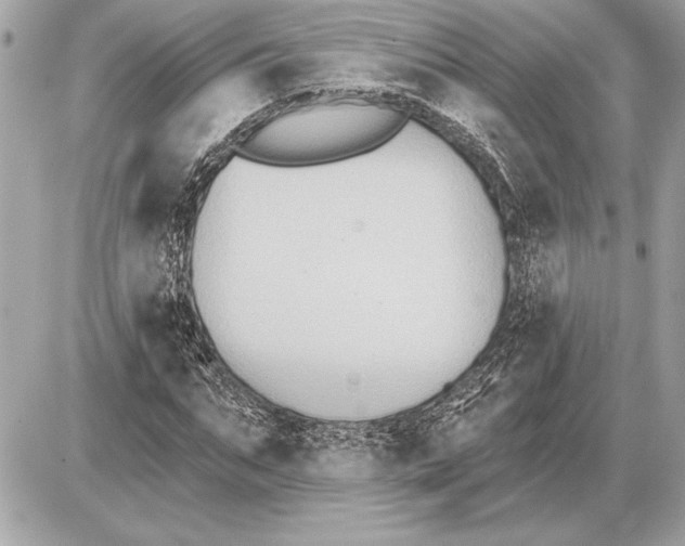 X0000085820871200704091629