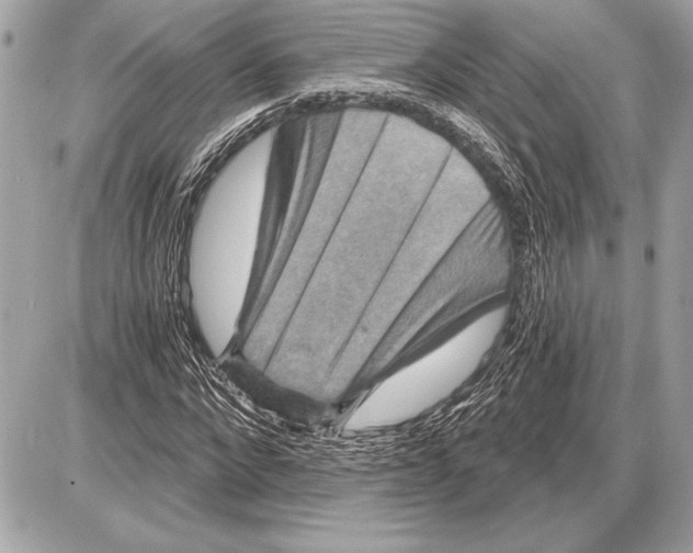 X0000085820872200704091629