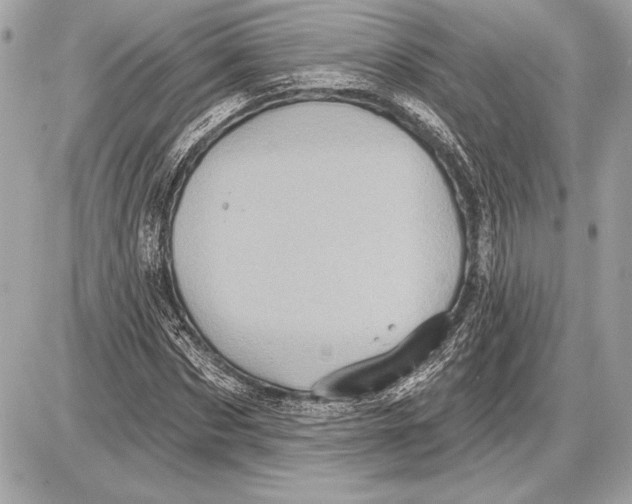 X0000085820873200704091629