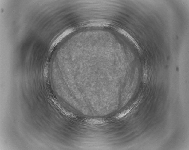 X0000085820874200704091629