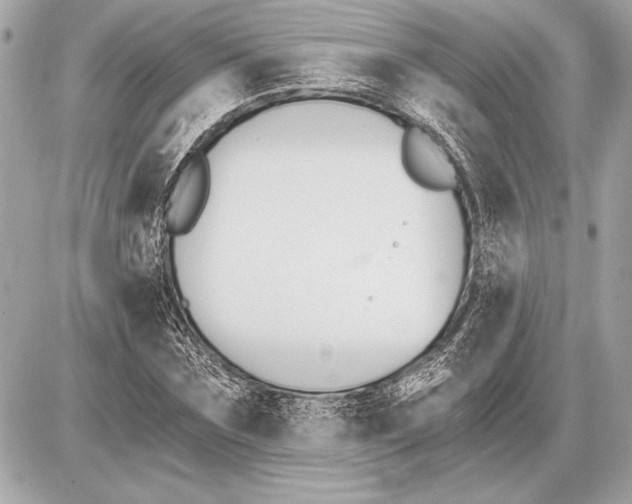 X0000085820875200704091629