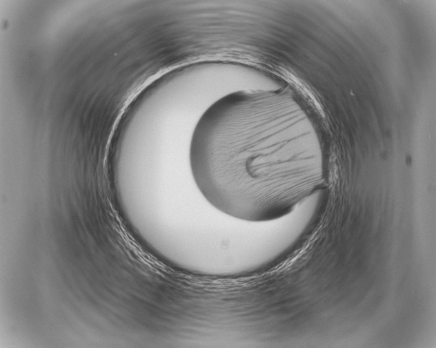 X0000085820876200704091629