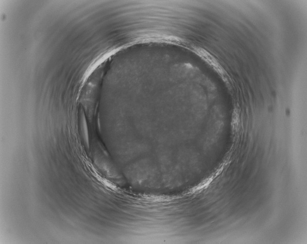 X0000085820877200704091629