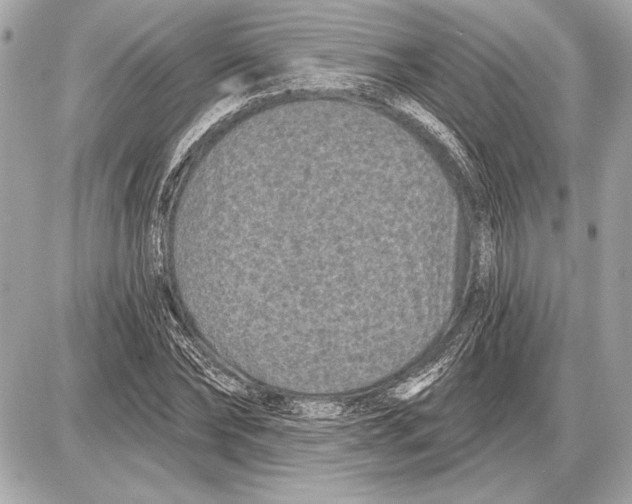 X0000085820878200704091629