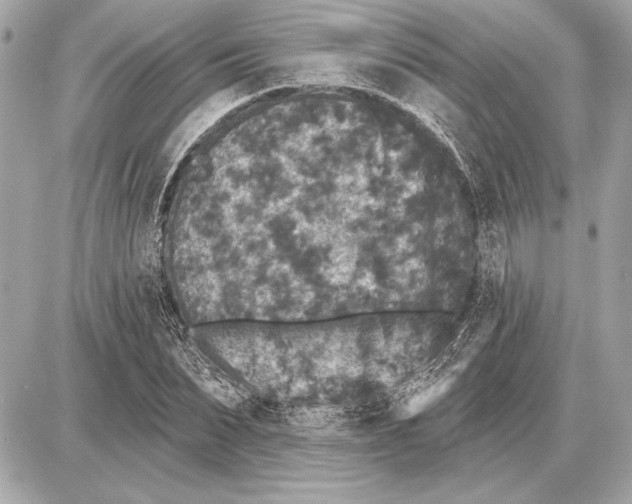 X0000085820879200704091629