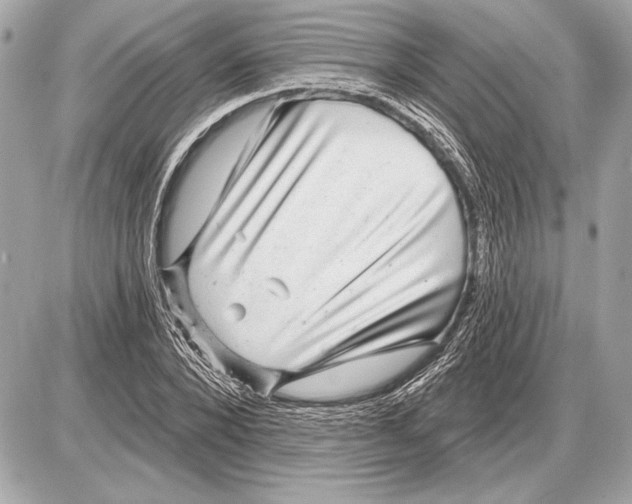 X0000085820880200704091629