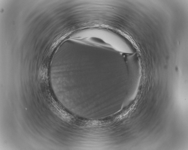 X0000085820881200704091629