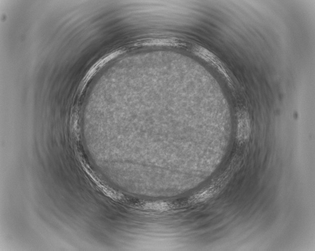 X0000085820882200704091629