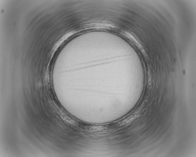 X0000085820883200704091629