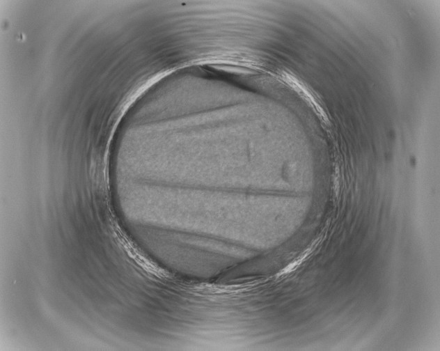 X0000085820884200704091629