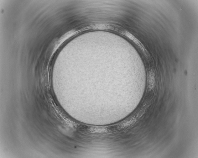 X0000085820886200704091629