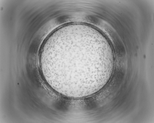 X0000085820887200704091629