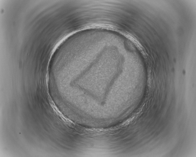 X0000085820888200704091629