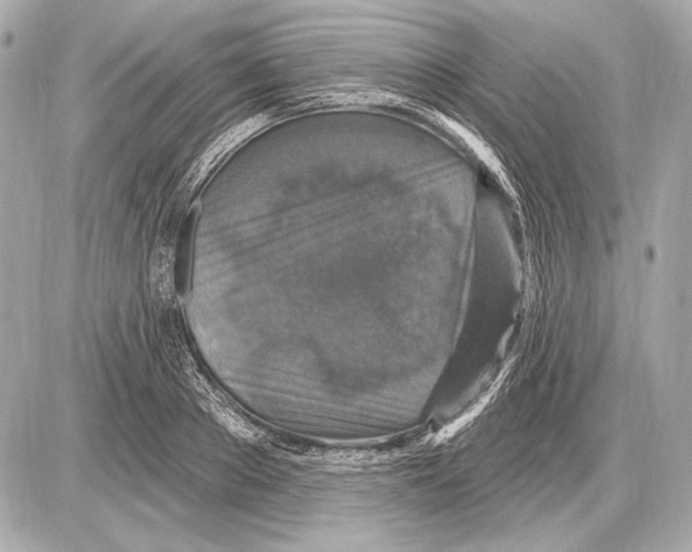 X0000085820889200704091629