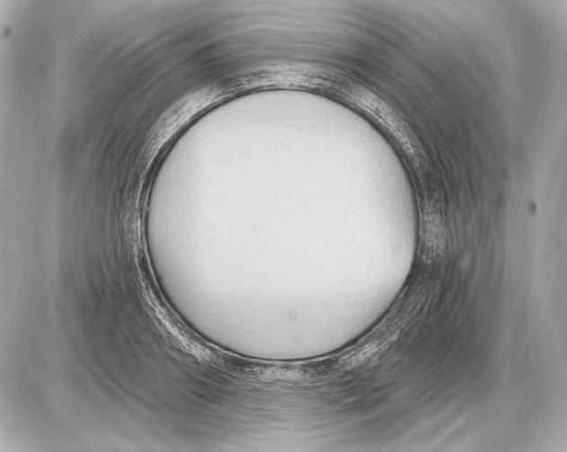 X0000085820890200704091629