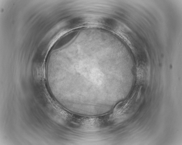 X0000085820891200704091629