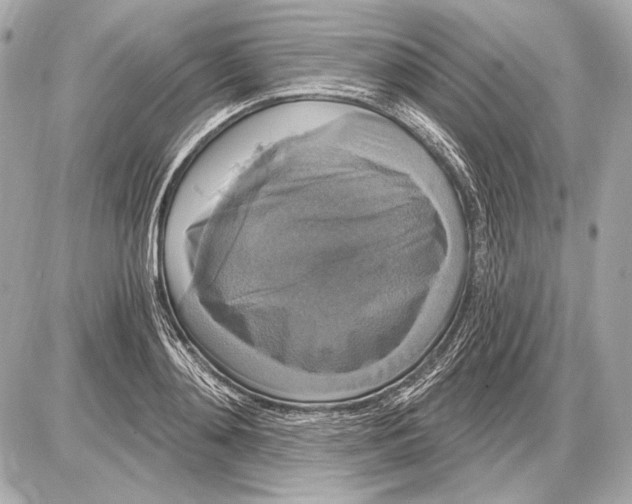 X0000085820892200704091629