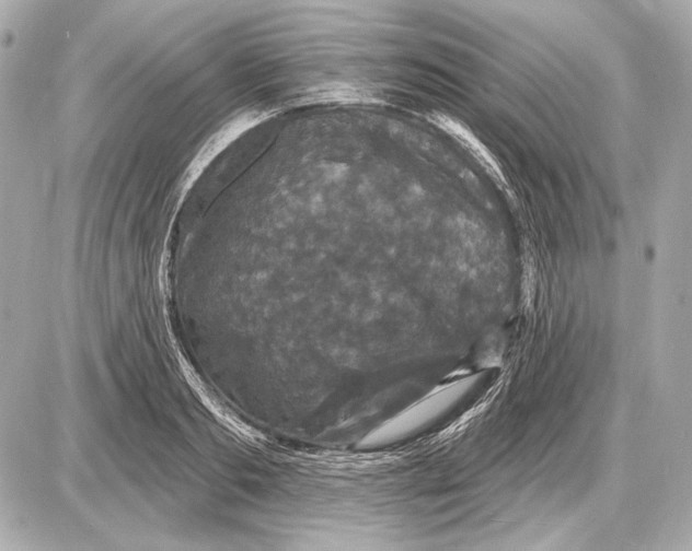 X0000085820893200704091629