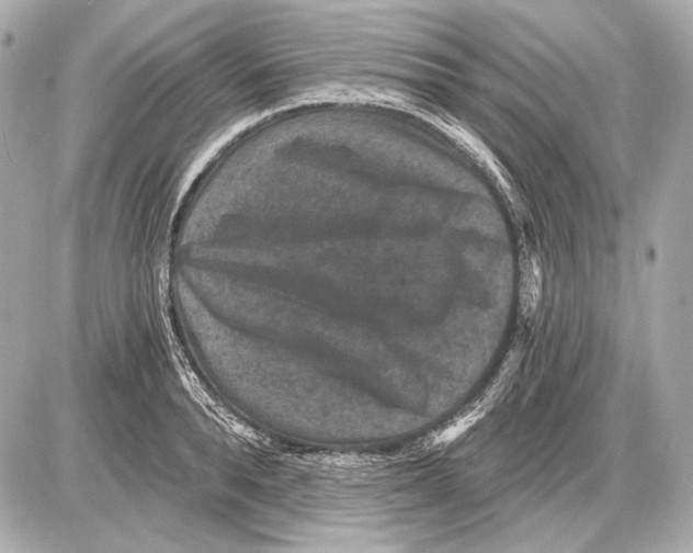 X0000085820896200704091629