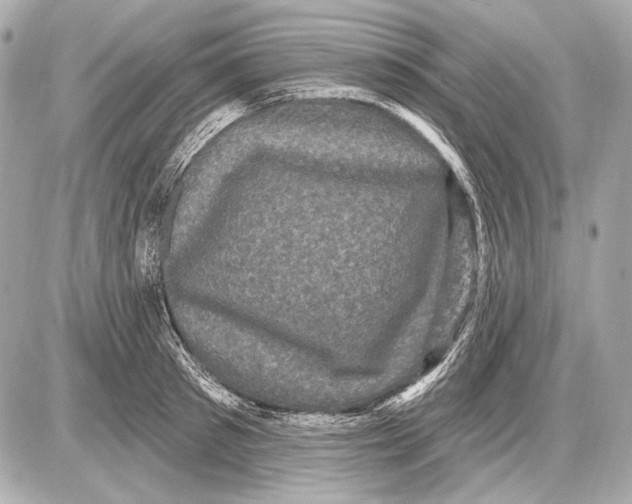 X0000085820897200704091629