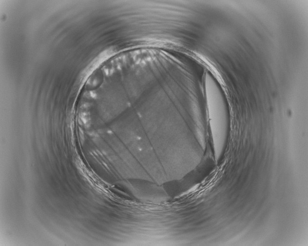 X0000085820899200704091629