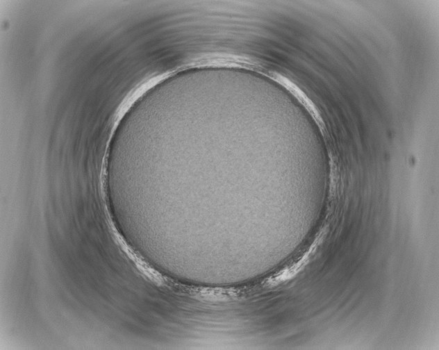 X0000085820901200704091629