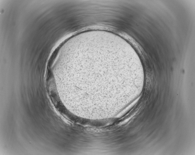 X0000085820902200704091629