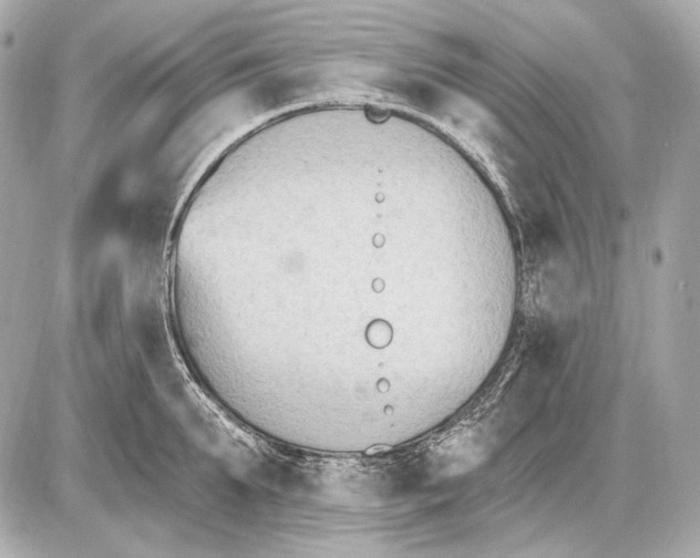 X0000085820903200704091629