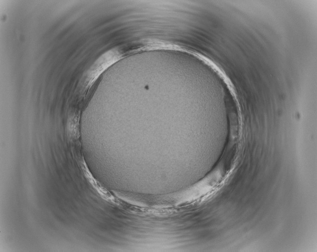 X0000085820905200704091629