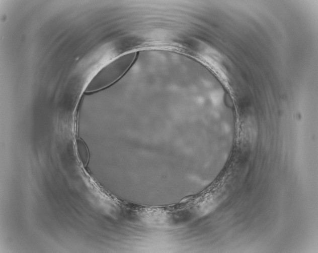 X0000085820907200704091629