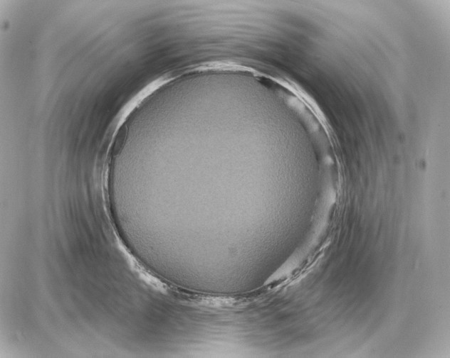 X0000085820909200704091629