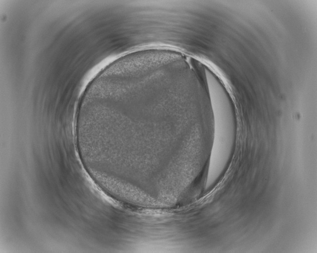 X0000085820910200704091629