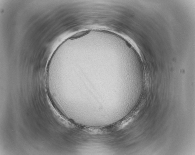 X0000085820911200704091629