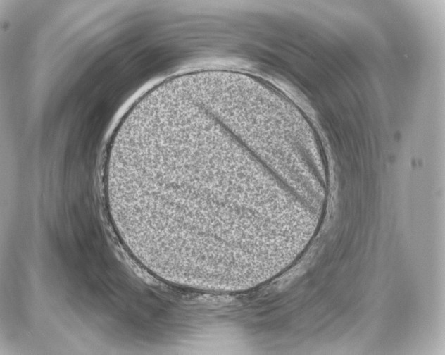 X0000085820912200704091629