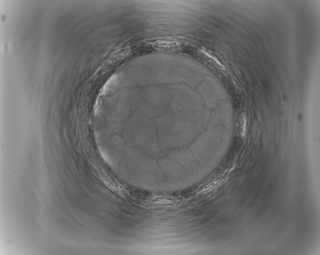 X0000085820913200704091628