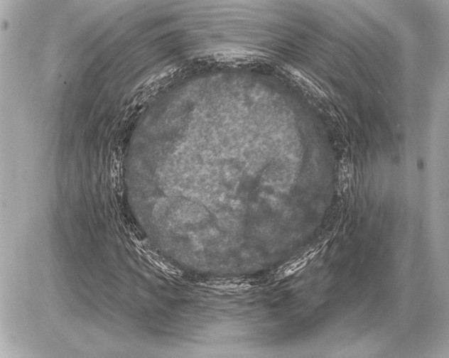 X0000085820917200704091628