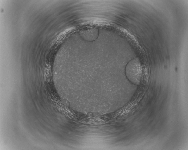 X0000085820918200704091628