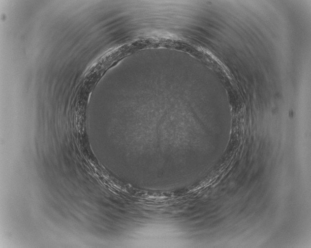 X0000085820919200704091628