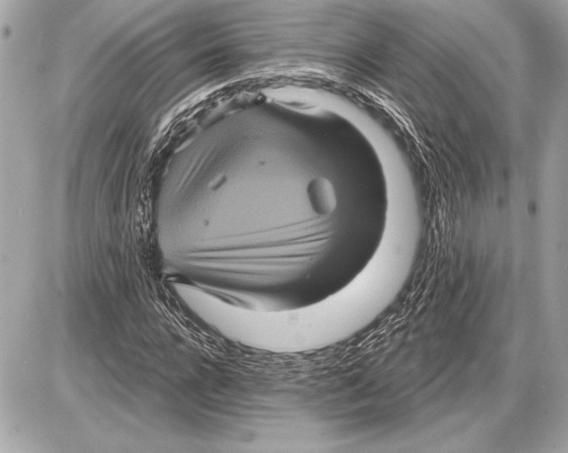 X0000085820920200704091628