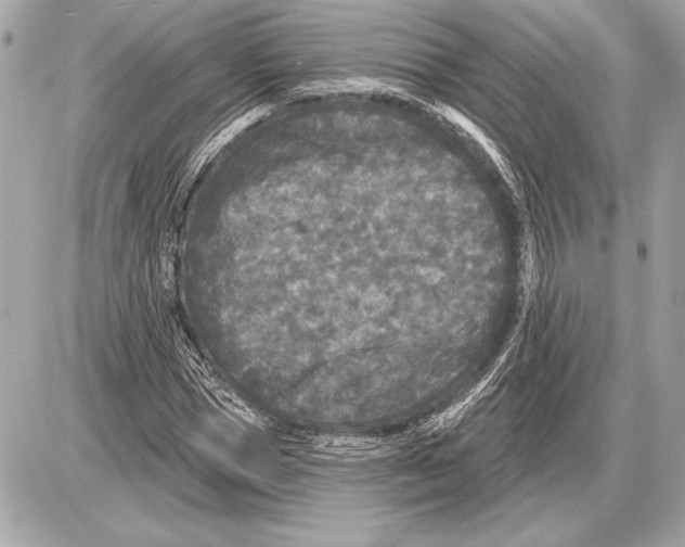 X0000085820921200704091628