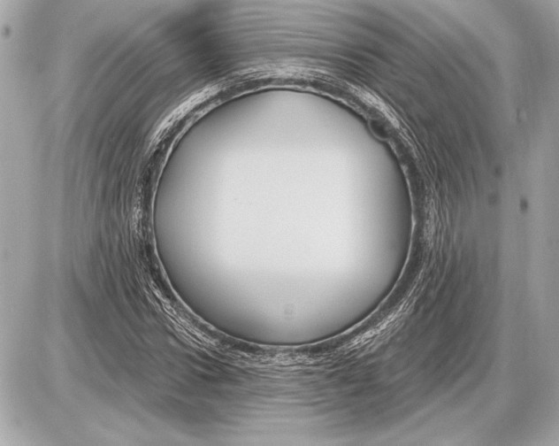 X0000085820922200704091628