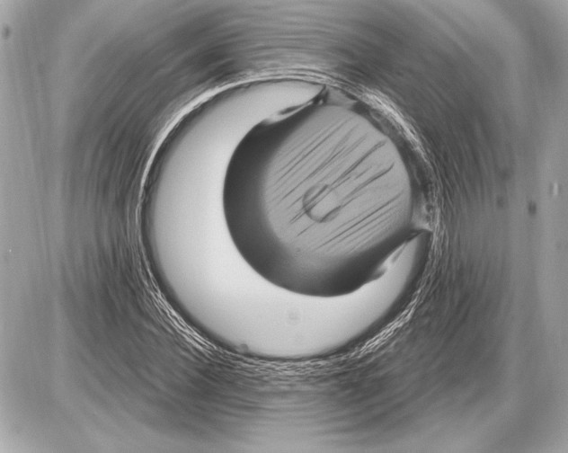 X0000085820924200704091628