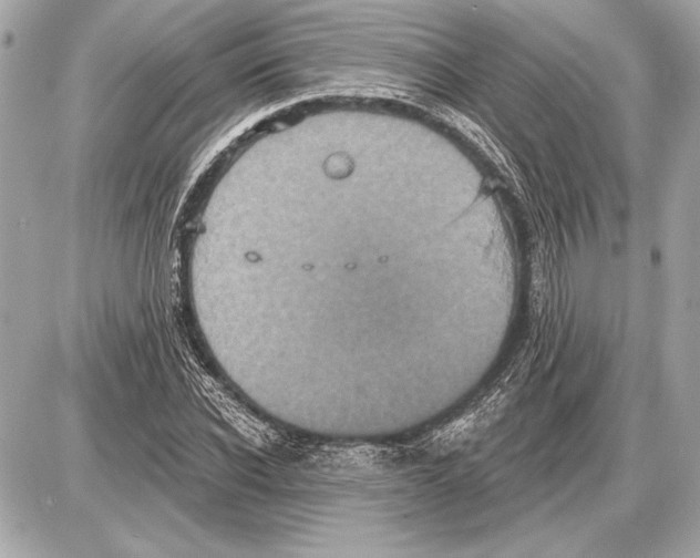 X0000085820926200704091628