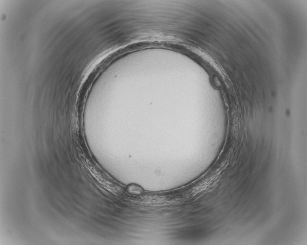 X0000085820927200704091628