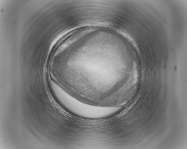 X0000085820928200704091628