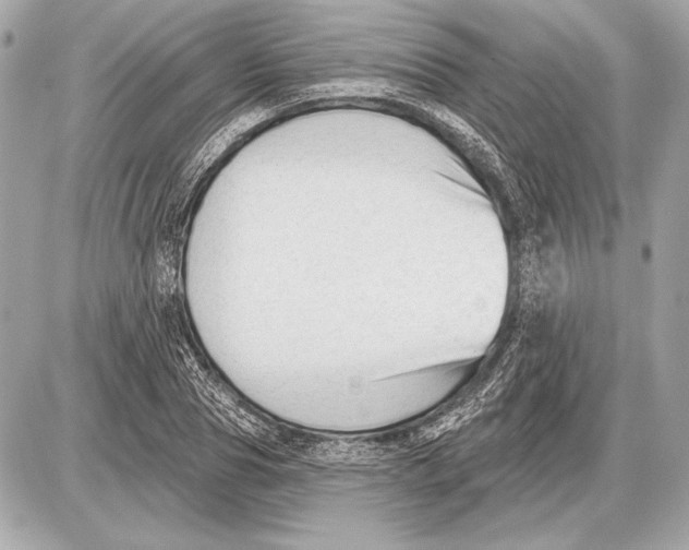 X0000085820929200704091628