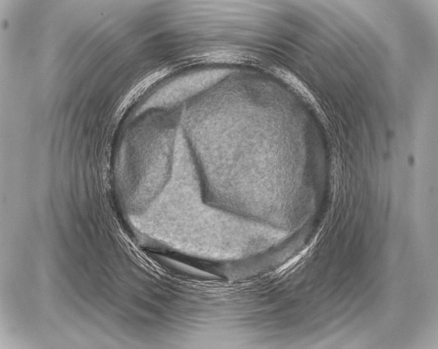 X0000085820930200704091628