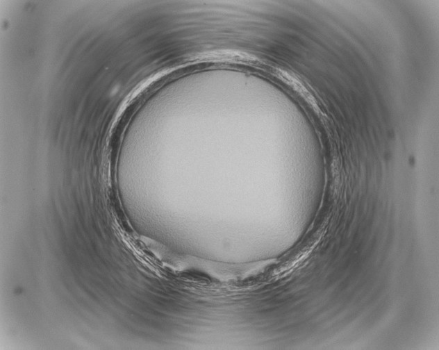 X0000085820931200704091628