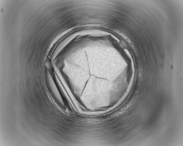 X0000085820933200704091628