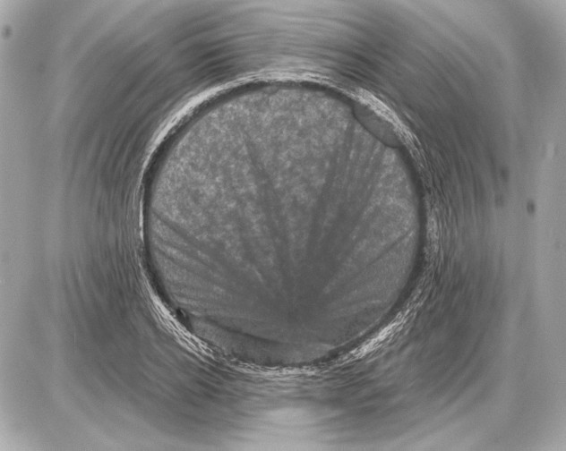 X0000085820934200704091628